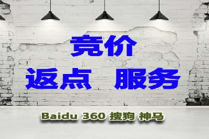 SEM专员实战案例解析